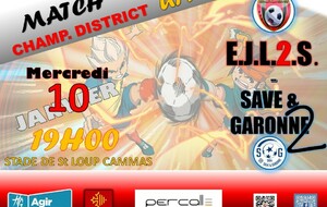 U14-2 EJLSS 2 /SAVE GARONNE - Championnat District Poule C - J9- District Haute-Garonne