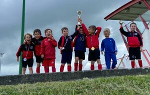 EJLSS U6/U7 - Journée Nationale des débutants ( Aussonne)